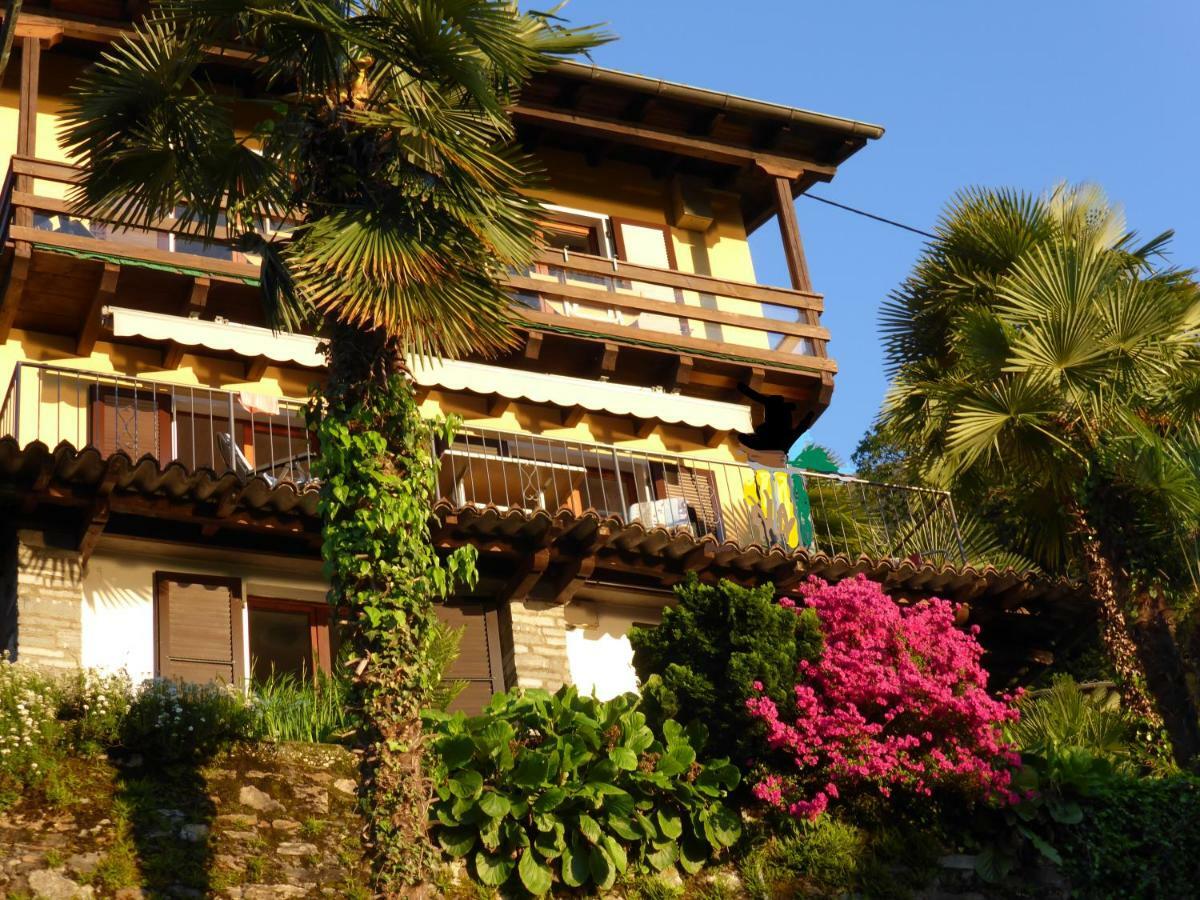 Apartamento Casa Petra 1 1/2 Zi, Orgnana 83 Gambarogno Exterior foto