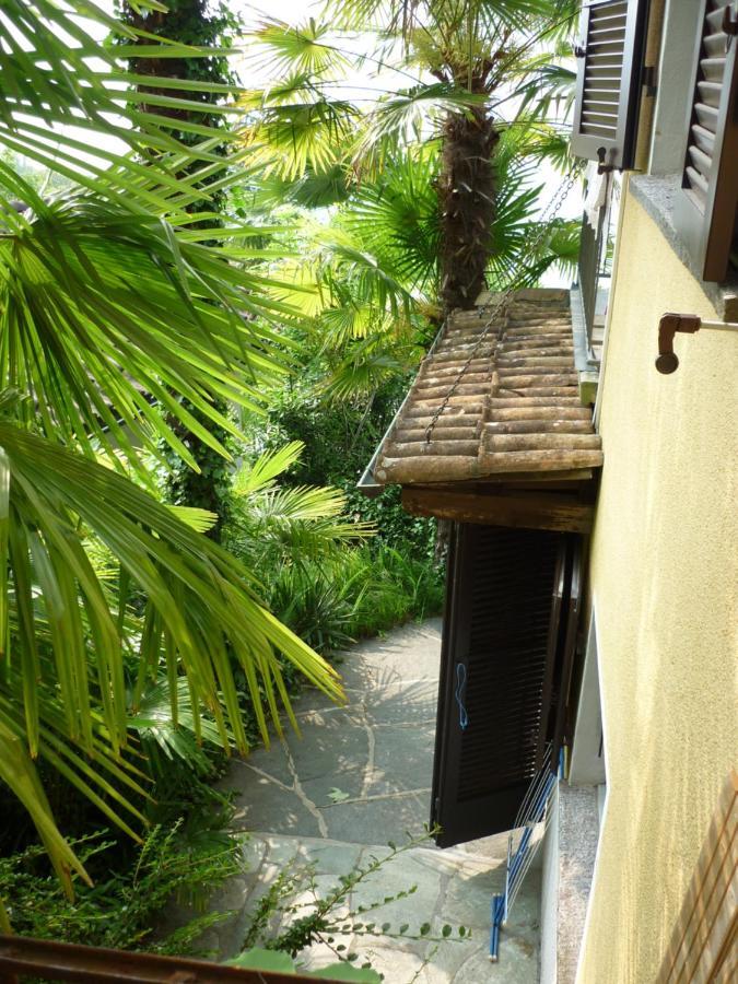 Apartamento Casa Petra 1 1/2 Zi, Orgnana 83 Gambarogno Exterior foto